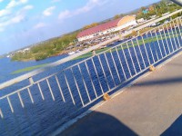 В Кимрах по Волге плывут странные зелёные пятна - Народные Новости ТИА