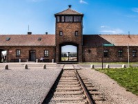 В Твери почтят память жертв Холокоста - Новости ТИА