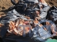 Свиные шкуры, полчища крыс и тонны гниющих овощей. Жители "Мамулино" бьют тревогу: рядом с домами стихийно разрастается свалка - новости ТИА