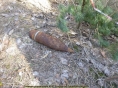 В Тверской области обезврежен артиллерийский снаряд времён Великой Отечественной войны - новости ТИА