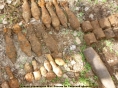 Более 40 боеприпасов времён Великой Отечественной войны обезврежены в Ржевском районе - новости ТИА