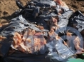 Тверская полиция отказалась возбуждать уголовное дело по факту несанкционированного сброса отходов в Мамулино - новости ТИА