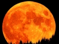 Жители Тверской области в ночь на 11 августа увидят самую большую луну в году - новости ТИА