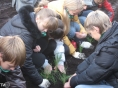 В тверской 49-й школе ребята посадили 500 сосен - новости ТИА