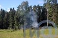 Посреди села Бурашева пилят лес - народные новости ТИА
