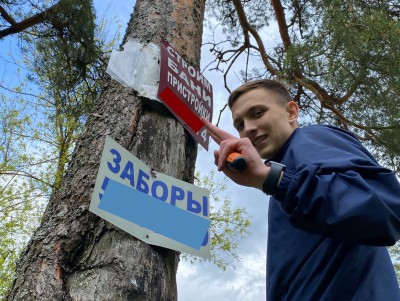 Жители посёлка под Тверью спасают деревья от уродливой рекламы - Новости ТИА