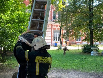 В Твери пожарные сняли подростка с дерева - новости ТИА