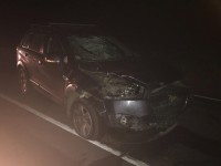 Водитель без прав на мопеде выскочил на главную дорогу и погиб - Новости ТИА
