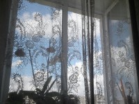 В Твери мужчина поймал выпавшего с четвертого этажа малыша - Новости ТИА