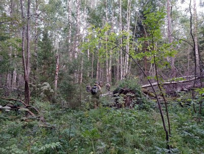 Волонтёры в тверском лесу нашли пропавшую пару, мужчину вынесли на носилках - новости ТИА