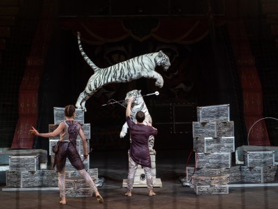 В Твери впервые после пандемии заработал цирк: стартовало "Шоу белых тигров" - новости ТИА