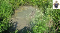 СУ СК сообщает о значительном биогенном загрязнении водоема в Бежецке - новости ТИА