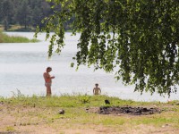 Август радует: новая неделя обещает быть теплой и солнечной - Новости ТИА