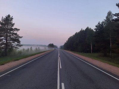 В Тверской области на трассе М-9 автомобиль врезался в лося - новости ТИА