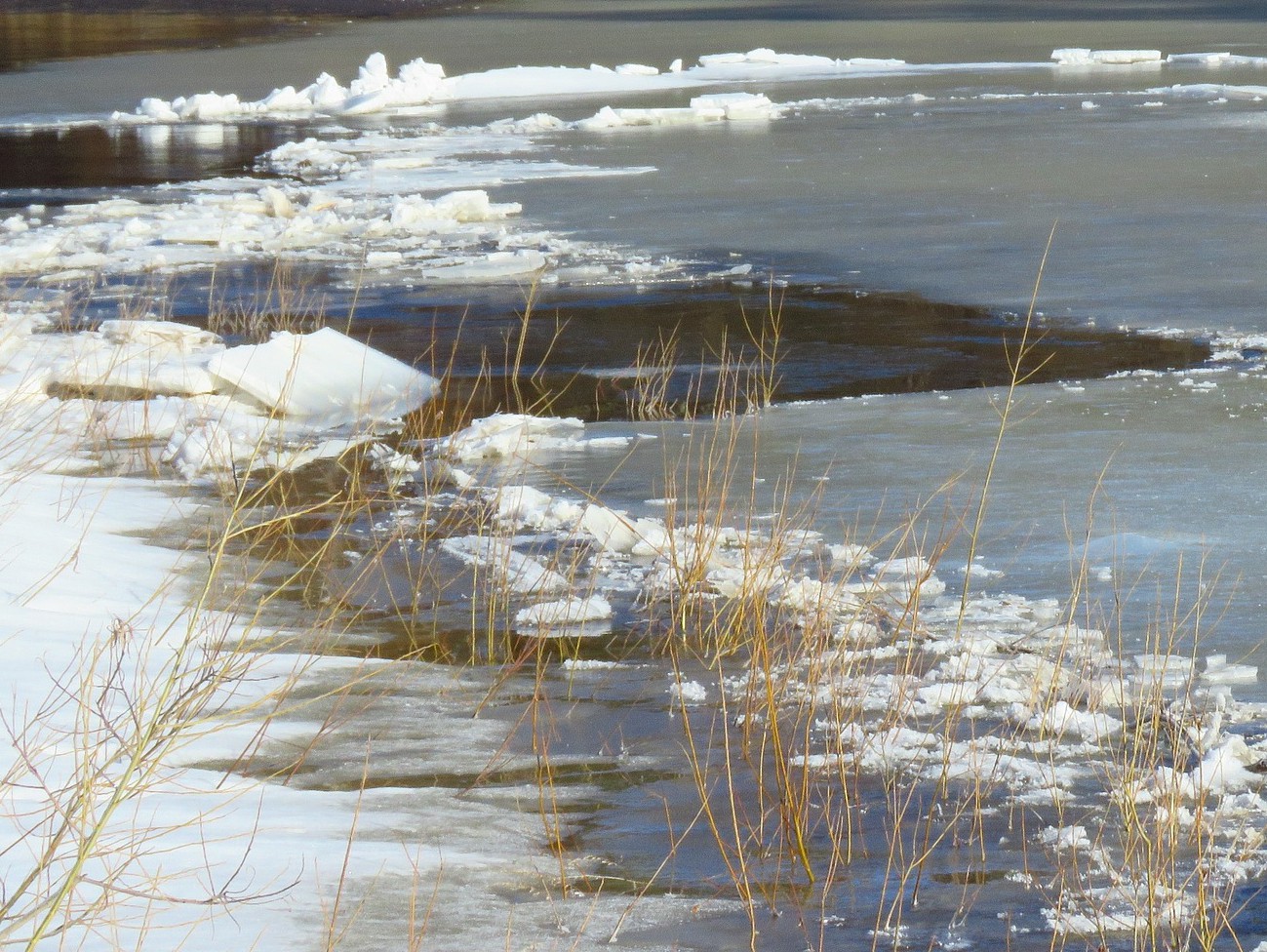 Вода в реке белая поднялась