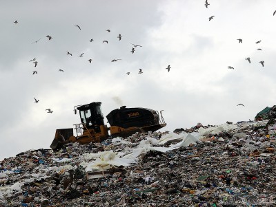 Тверская область получит 96,5 млн рублей на вывоз бытовых отходов - Новости ТИА