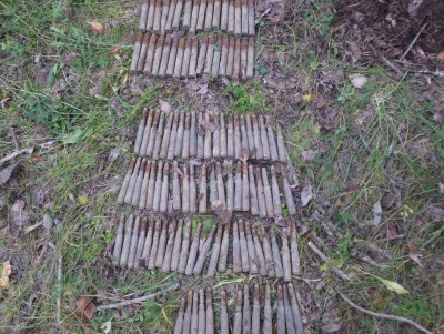 В Тверской области обезвредили более сотни снарядов - Новости ТИА
