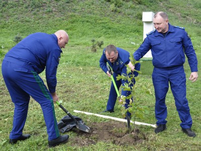 В Твери прокуроры высадили 300 деревьев к 300-летию ведомства - новости ТИА