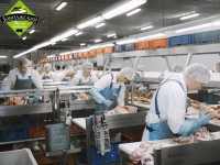 Обновлённый Заволжский мясокомбинат скоро порадует покупателей новинками - Новости ТИА