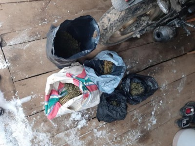 Полицейские нашли у жителя Бежецка более 1,5 кг конопли и марихуаны - Новости ТИА