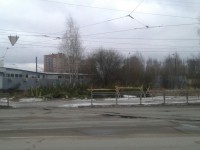 Варварство, или О ёлочных базарах - Народные Новости ТИА