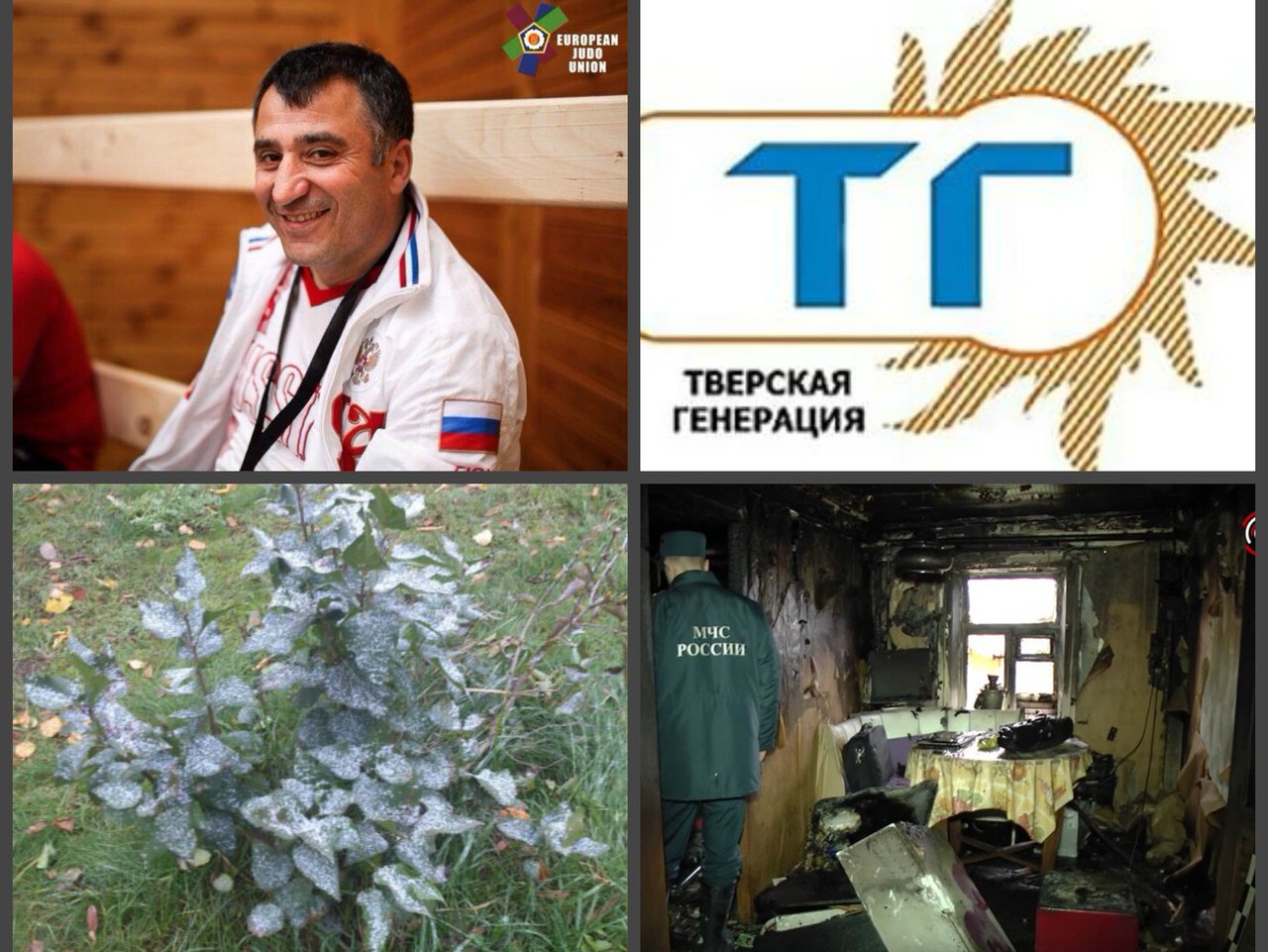 <strong>Автор: ТИА</strong><p></p>
