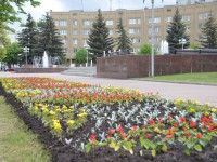 В Твери на клумбы будет высажено более 200 тысяч цветов, а также вернутся каменные скульптуры с бульвара Радищева  - Новости ТИА