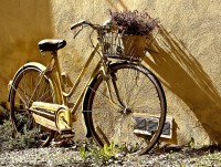 В Осташкове у пенсионерки в поликлинике украли велосипед - Новости ТИА