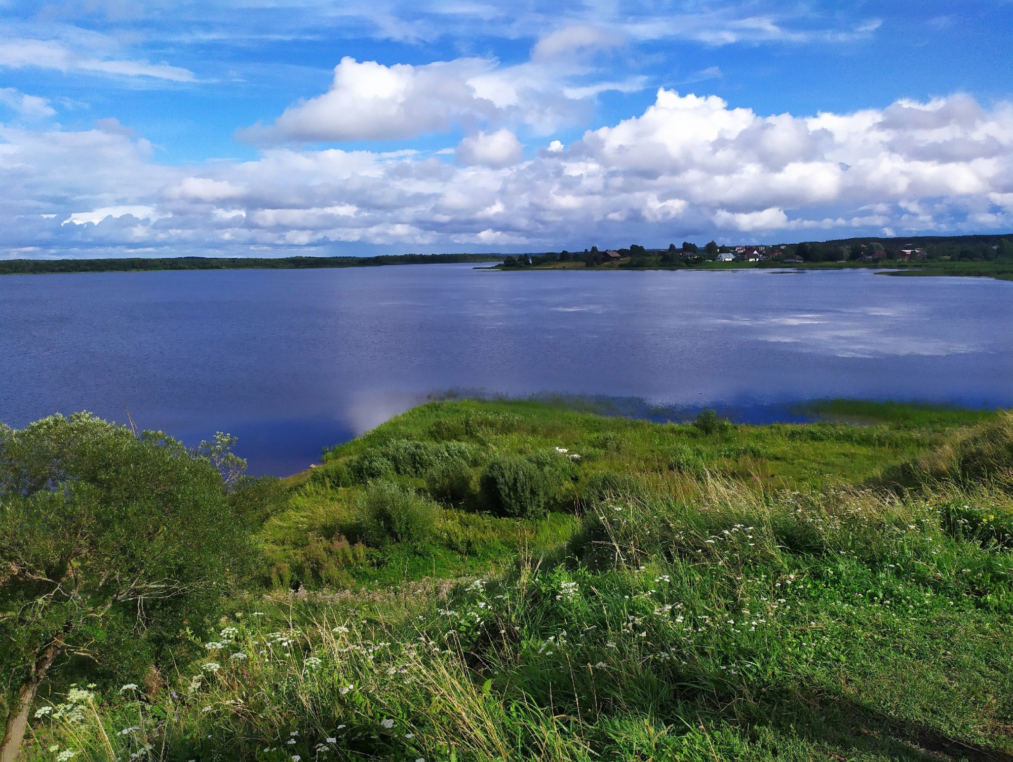 Погода солнечный тверская. Деревня жары Тверская область. Жара в Новгородской област. Погода в белом Тверской области.