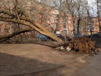 В Тверской области ожидается ухудшение погоды: ураганный ветер, мокрый снег, похолодание до -7 - Новости ТИА