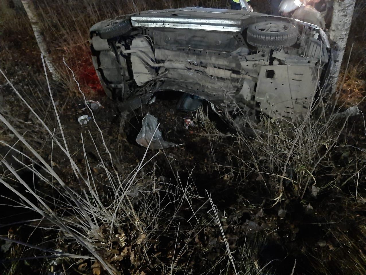 В Твери водитель погиб в ДТП с деревом | 25.11.2020 | Тверь - БезФормата