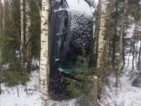 В Тверской области автомобиль улетел в кювет, машину остановили деревья - новости ТИА