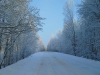 В Тверскую область идут морозы до -25 градусов - Новости ТИА