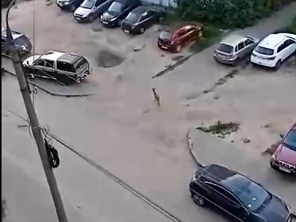 <p></p>