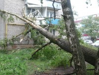 В Кимрах ураган оборвал провода, повалил деревья, повредил балконы и даже снёс крышу - Новости ТИА