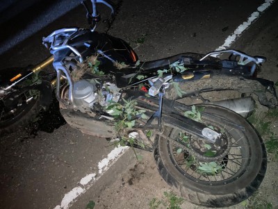 В Тверской области мотоциклист погиб после столкновения с лосем - Новости ТИА