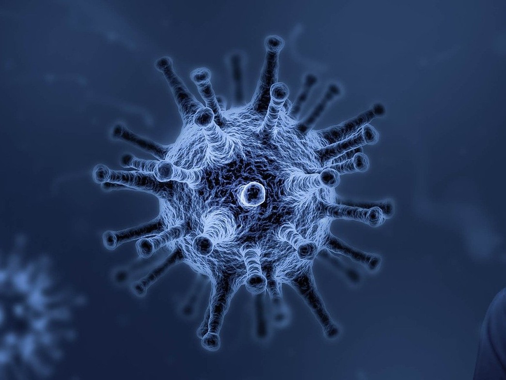 Эксперт прогнозирует спад заболеваемости коронавирусом в феврале–марте - новости ТИА