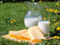 Россельхознадзор: в Тверской области производят качественную молочную продукцию - Новости ТИА