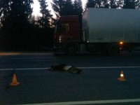 В Тверской области на трассе М-10 мужчину сбила сначала фура, а затем по нему проехал фургон - Новости ТИА