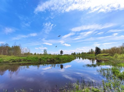 В Тверской области на озере Вселуг откроют туристический центр - глэмпинг - новости ТИА