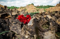 В Тверской области ищут родственников лётчика Клюева, погибшего в 1942 году в Крыму - Новости ТИА