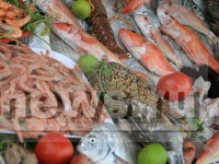 В России запретили ввоз китайской рыбы - новости ТИА