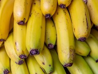 В бананах из Эквадора нашли муху - переносчицу холеры - новости ТИА
