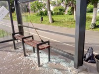 Выслеживать вандалов в Твери будут десантники и дружинники - Новости ТИА