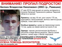 Один из пропавших в Торжокском районе подростков вернулся, второго мальчика так и не нашли - Новости ТИА
