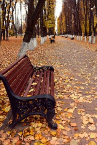 Два грядущих выходных в Тверской области будут без осадков - Новости ТИА
