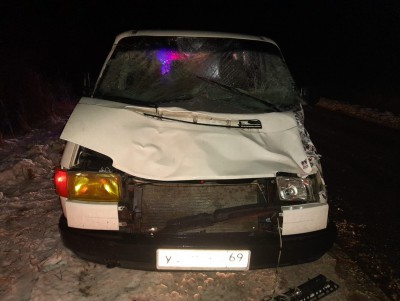 В Тверской области машина столкнулась с лосем, пострадала женщина - Новости ТИА
