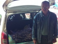 В Тверской области фермер раздал картофель многодетным семьям - Новости ТИА