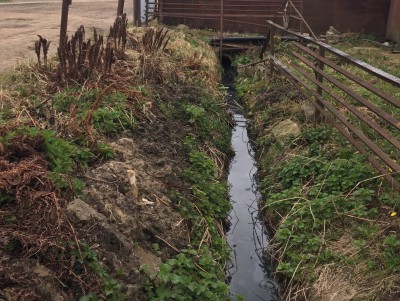 В Твери владелец дома канализационную трубу вывел в уличную канаву - новости ТИА
