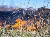 МЧС предупреждает о высокой пожарной опасности в Тверской области - новости ТИА